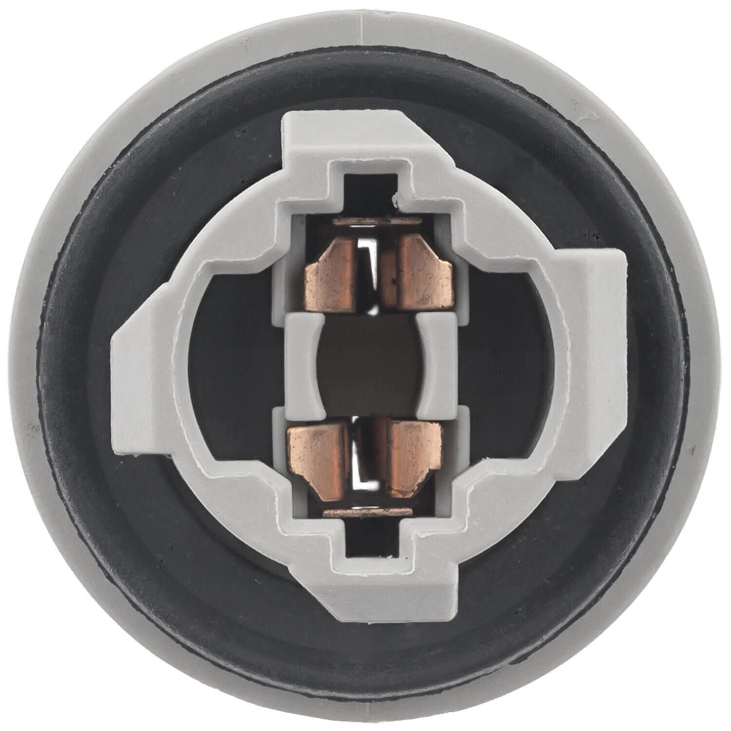 BWD PT2055 Back Up Light Socket