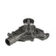 CARTER WATER PUMPS W598M Engine Water Pump