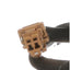 BWD LGS318 Liftgate Latch Release Switch
