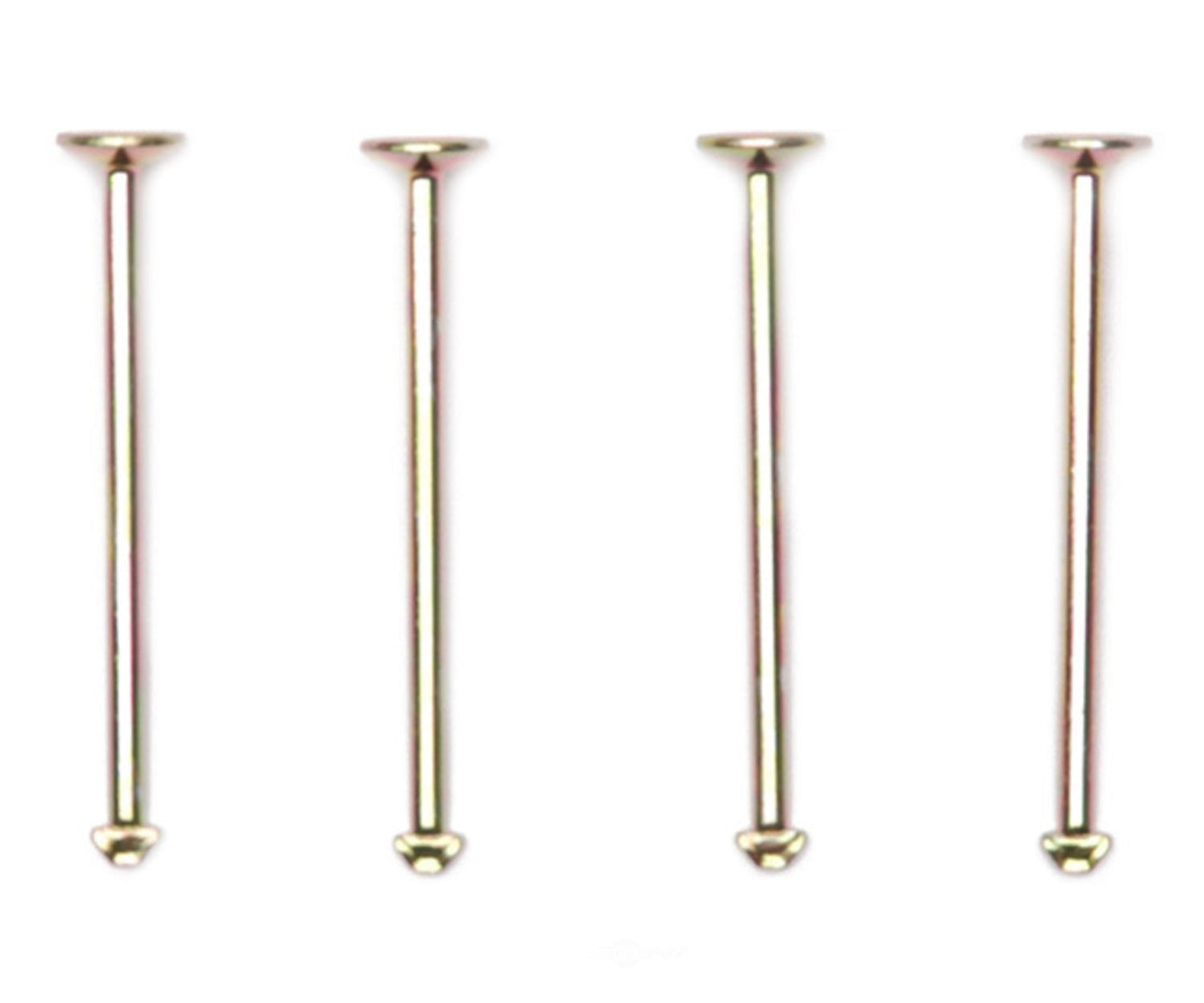 Raybestos H1089 Drum Brake Shoe Spring Hold Down Pin