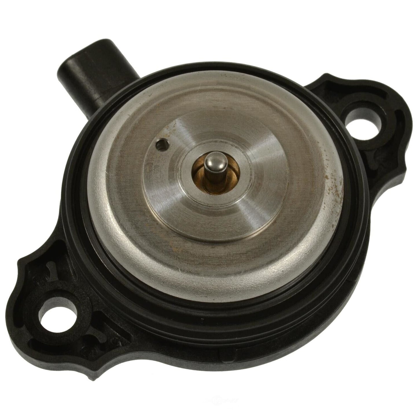 BWD VV1253 Engine Variable Valve Timing (VVT) Adjuster Magnet