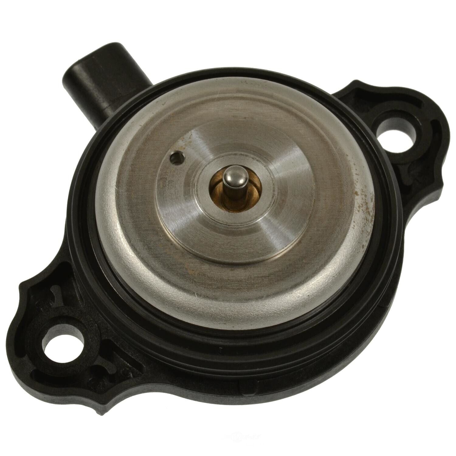 BWD VV1253 Engine Variable Valve Timing (VVT) Adjuster Magnet