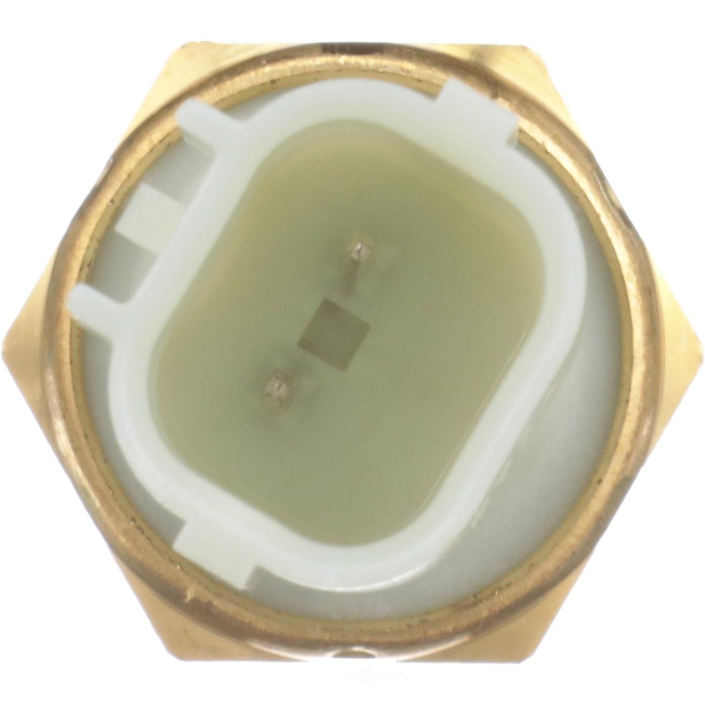 BWD WT5099 Engine Coolant Temperature Sensor