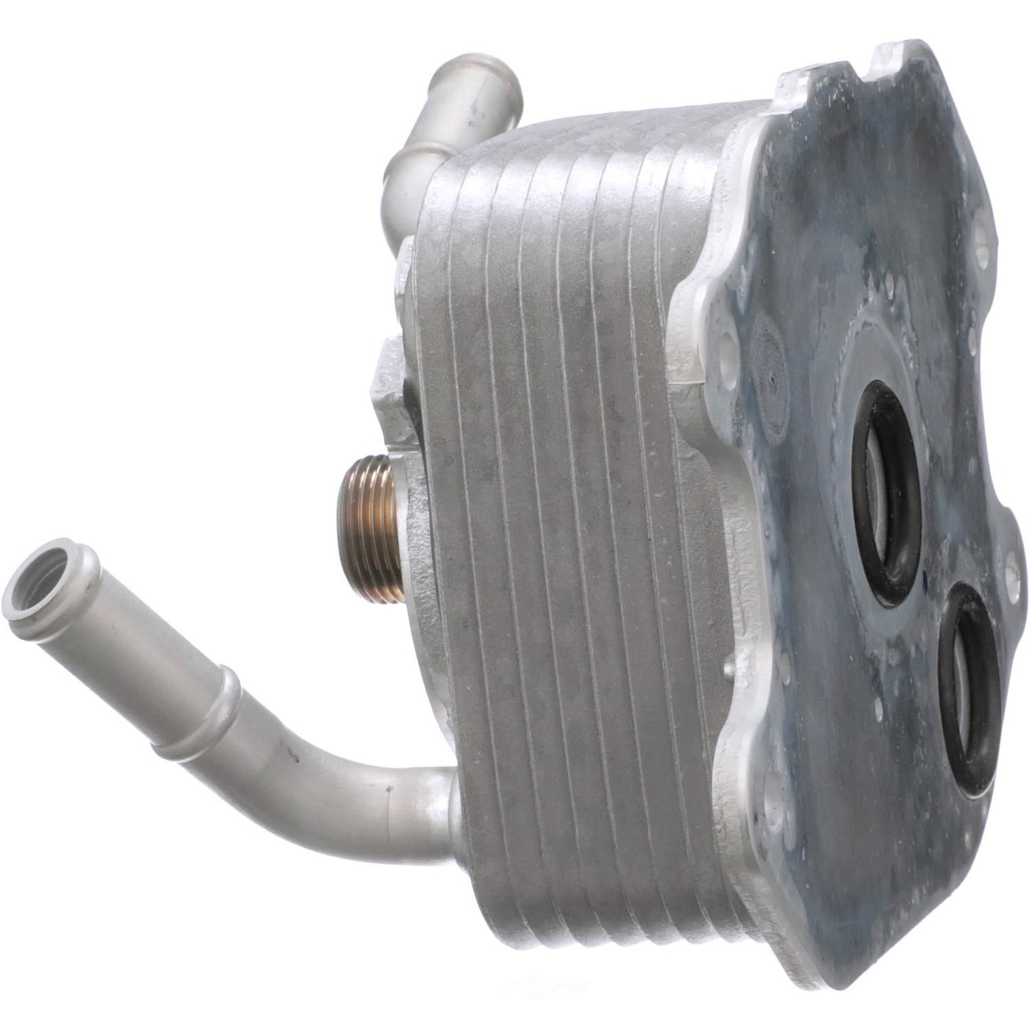 BWD DC35 Engine Oil Cooler