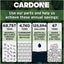CARDONE 79-4202V Engine Control Module (ECM)