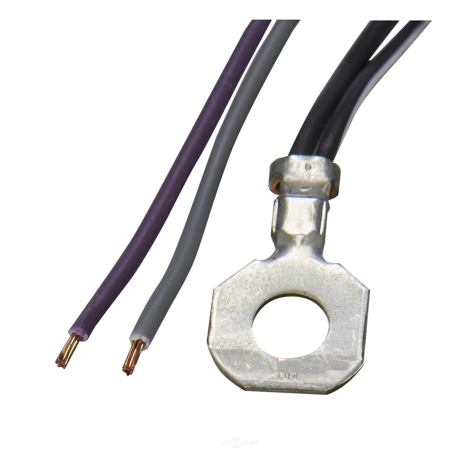 Spectra Premium Industries Inc SP172A1H Fuel Pump and Sender Assembly