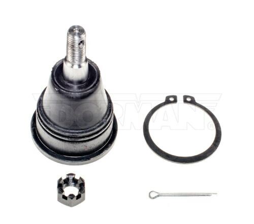 Dorman BJ81325PR