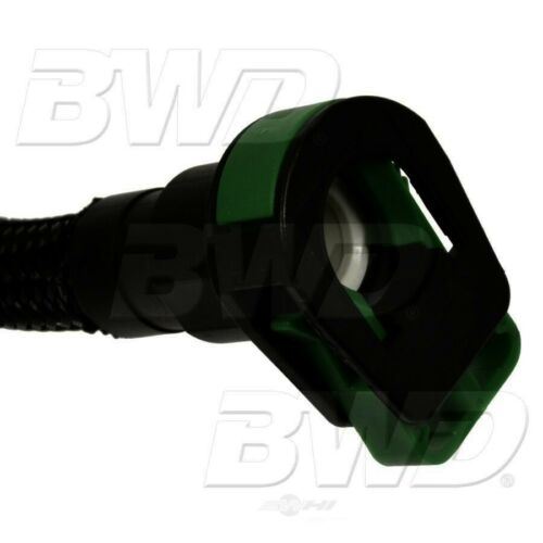 Solenoide de purga del recipiente de vapor BWD CP894