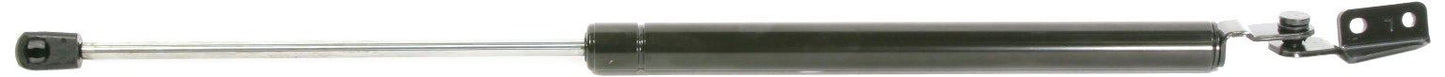 STRONGARM LIFT SUPPORTS C6219R