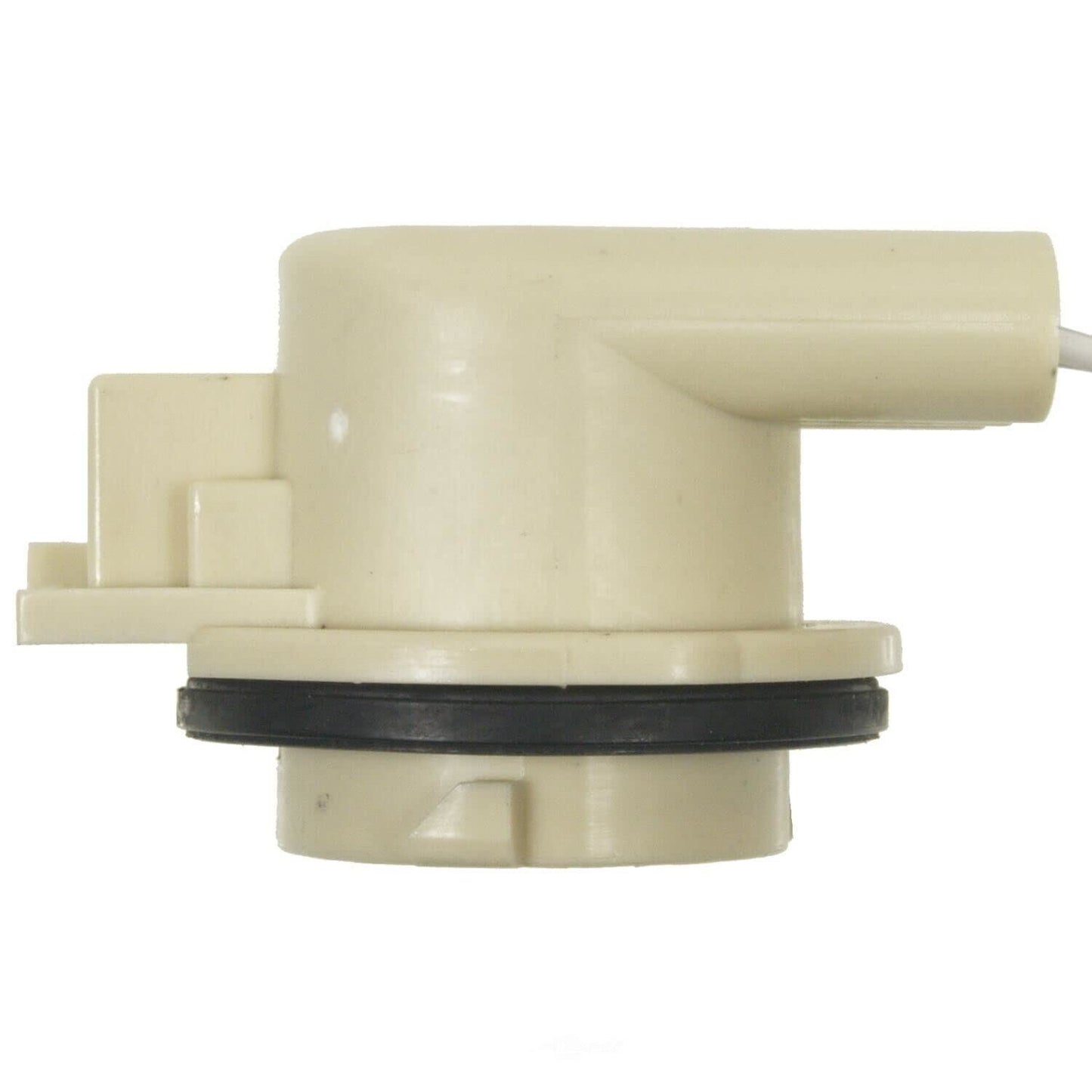 BWD PT5798 Back Up Light Socket