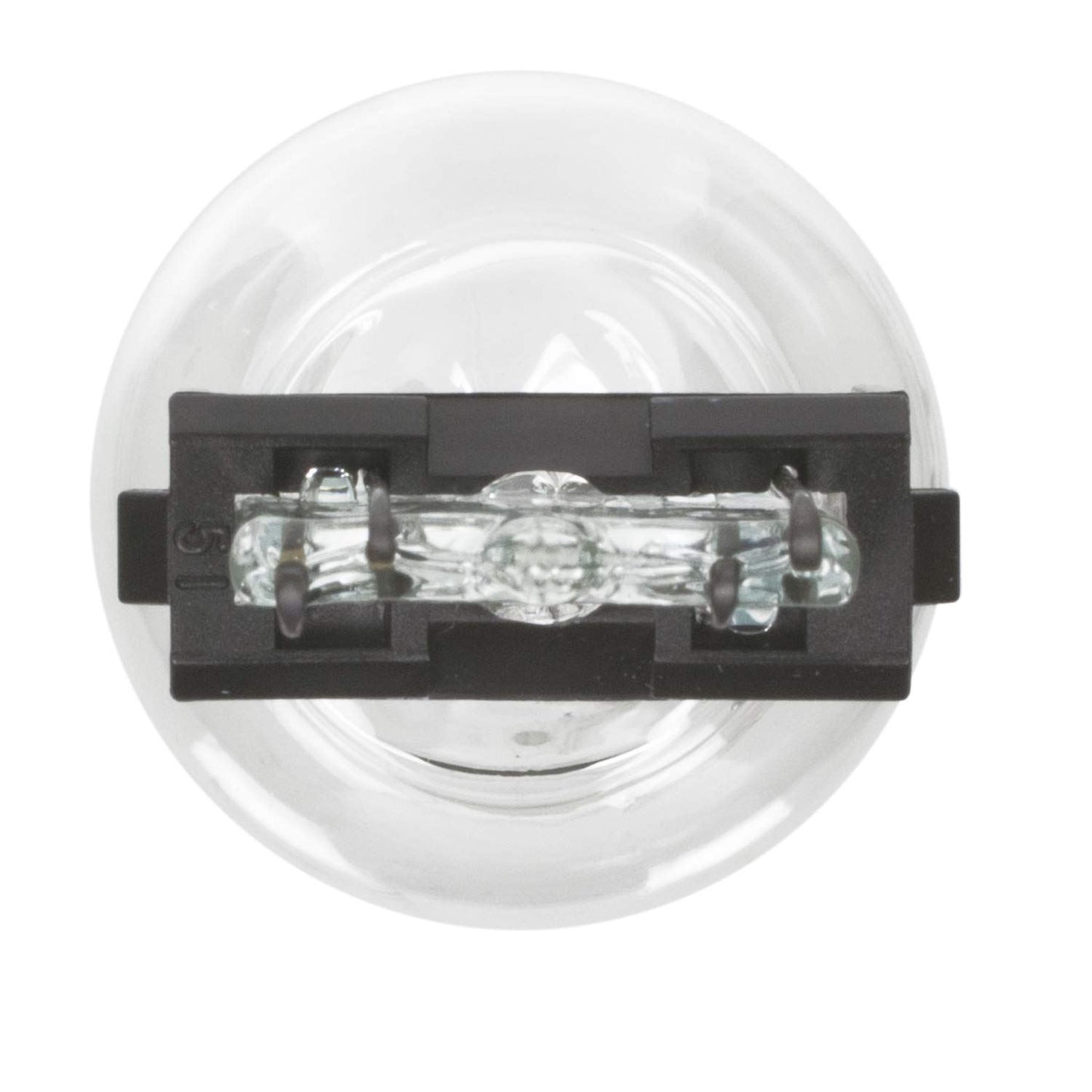 Wagner BP3157LL Tail Light Bulb