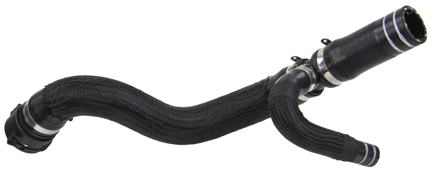 REIN CHR0673