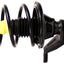Monroe 171434 Suspension Strut and Coil Spring Assembly