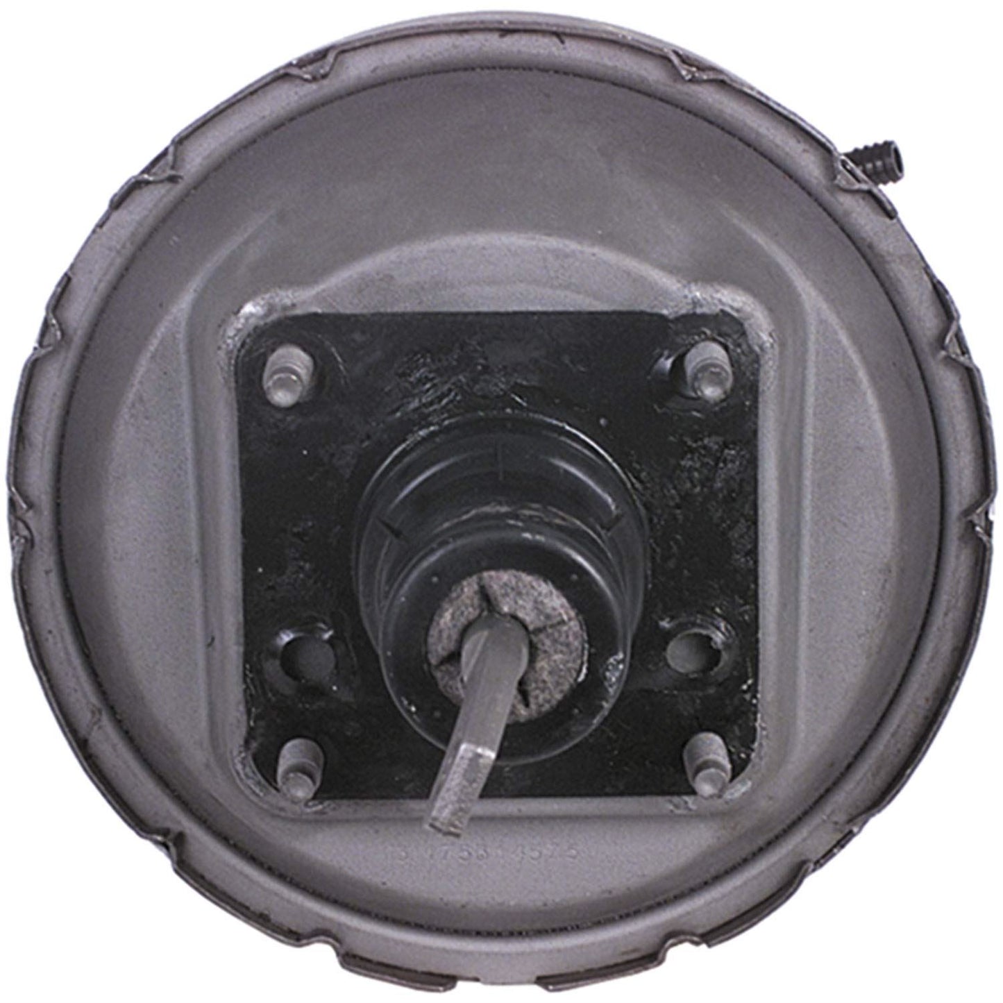 CARDÓN 5474074