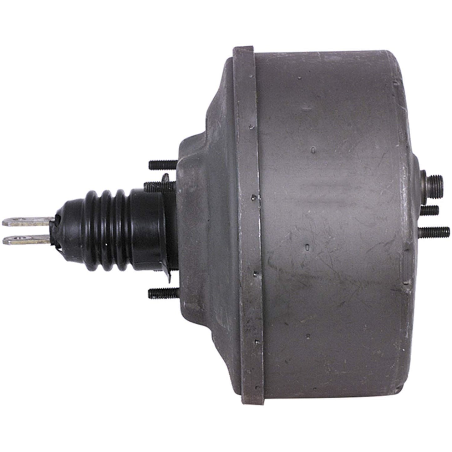 CARDÓN 535936