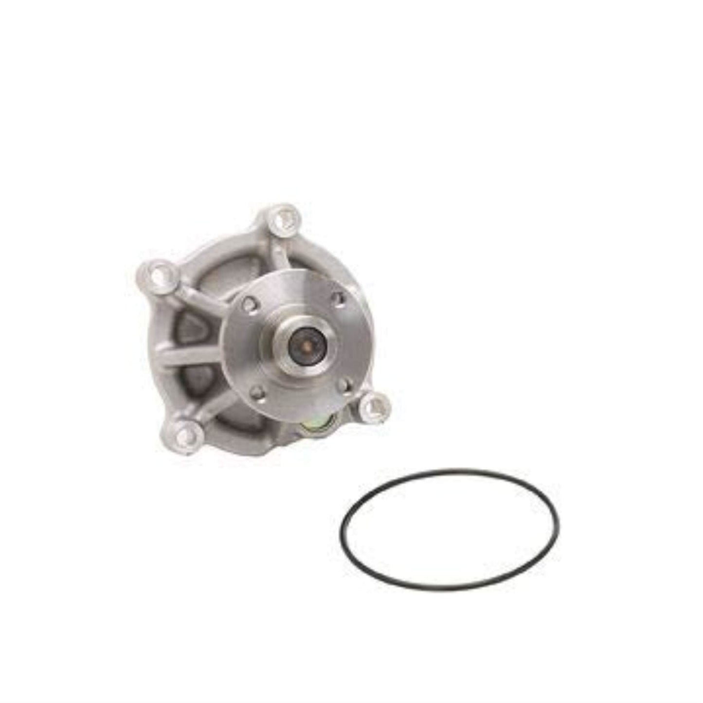 Dayco DP1010