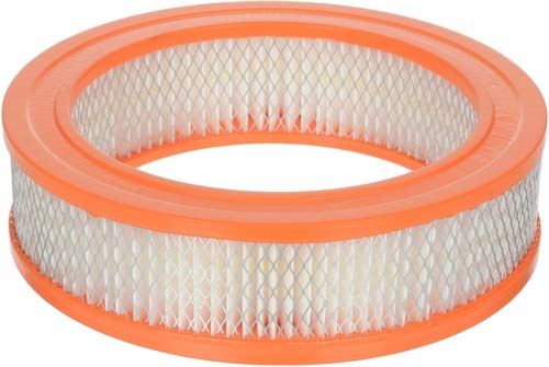 Fram CA160 Air Filter