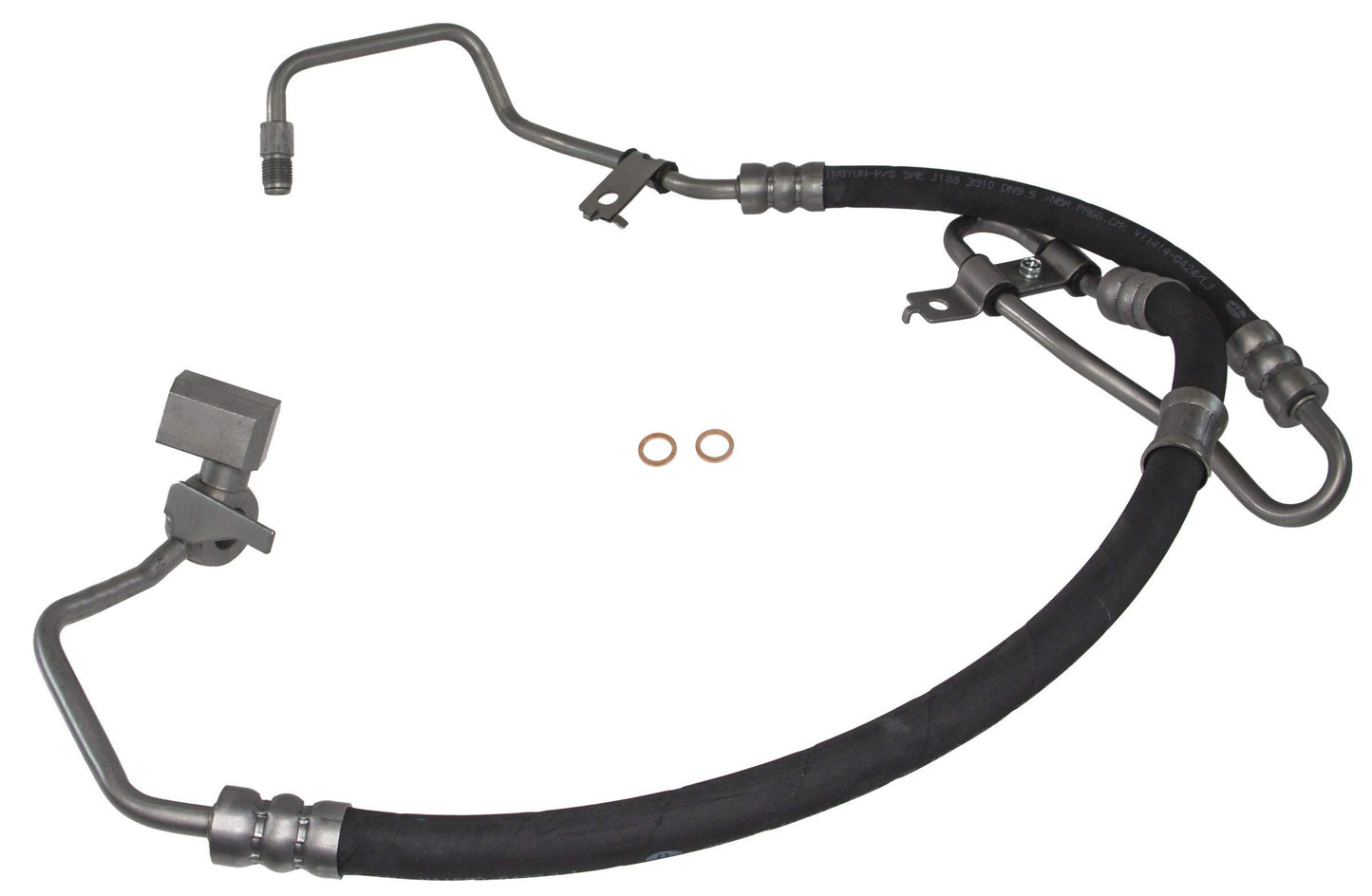 REIN PSH0554