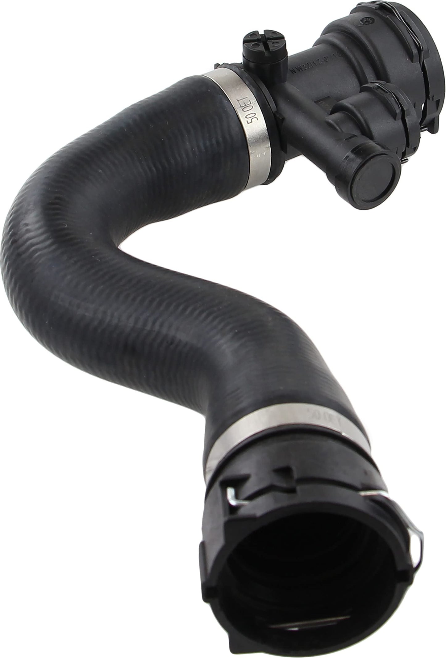 REIN CHR0186