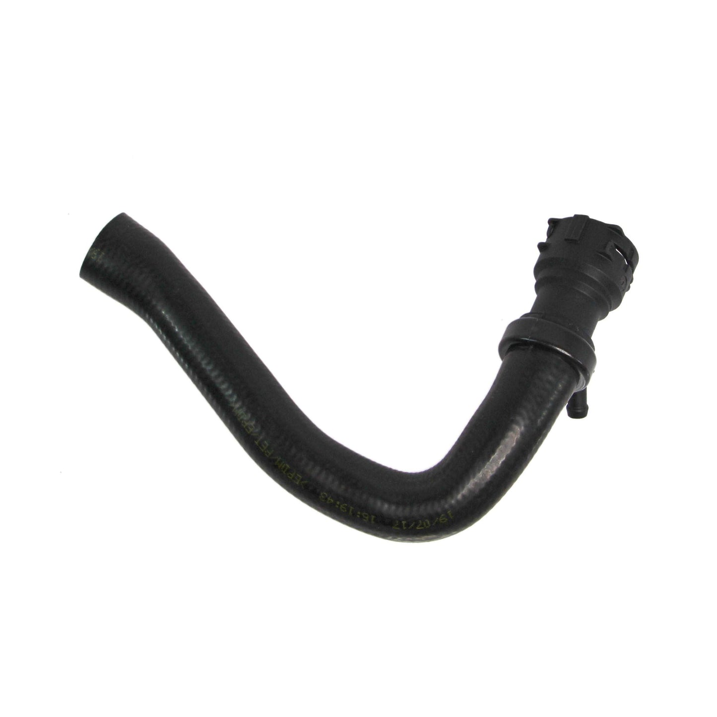 REIN CHR0397