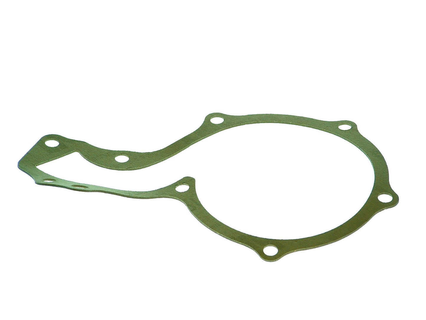 Saleri PA460S Engine Water Pump