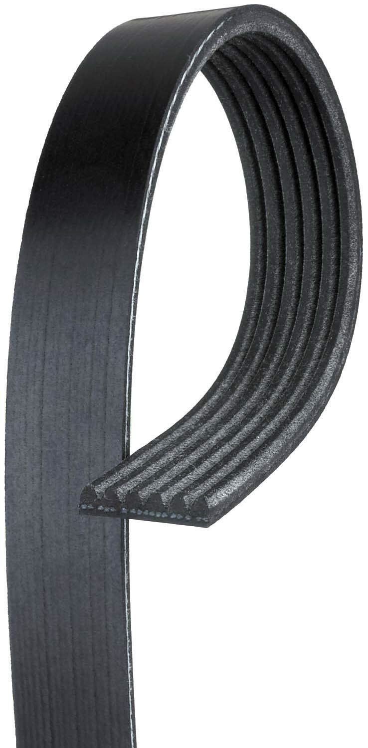 Gates K060725 Serpentine Belt