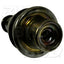 BWD 24251 Fuel Injection Pressure Regulator