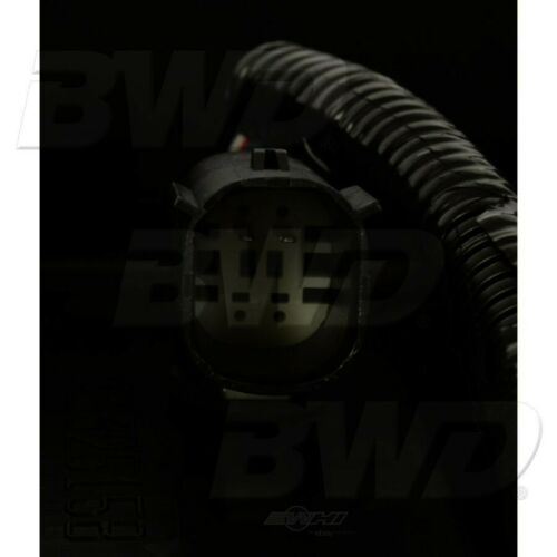 BWD CP1762 Vapor Canister