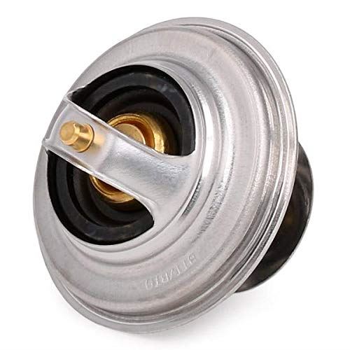 Termostato Refrigerante Motor Mahle TX 25 87D