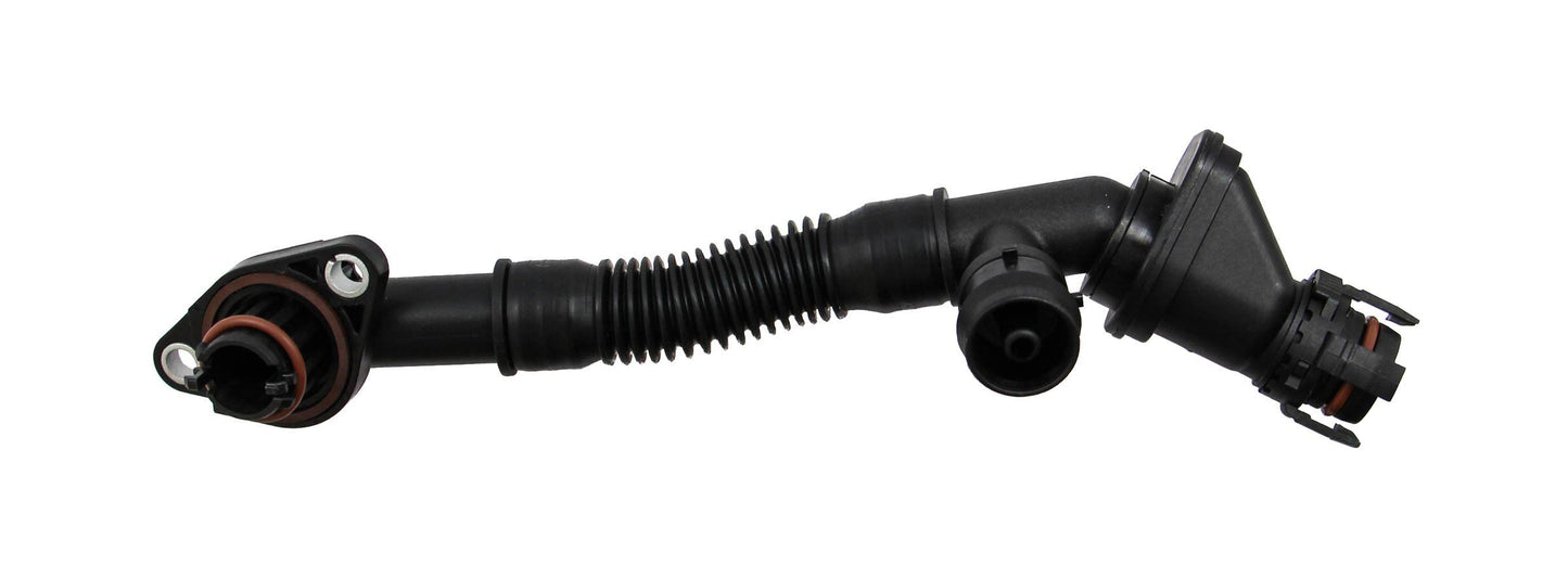 REIN ABV0193