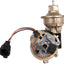CARDÓN 302691