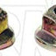 Dorman 982-006D