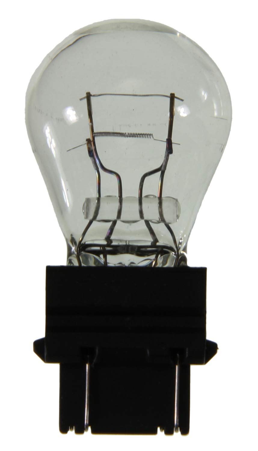 Bombilla de luz trasera Wagner 3047LL
