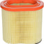 Fram CA12183 Air Filter