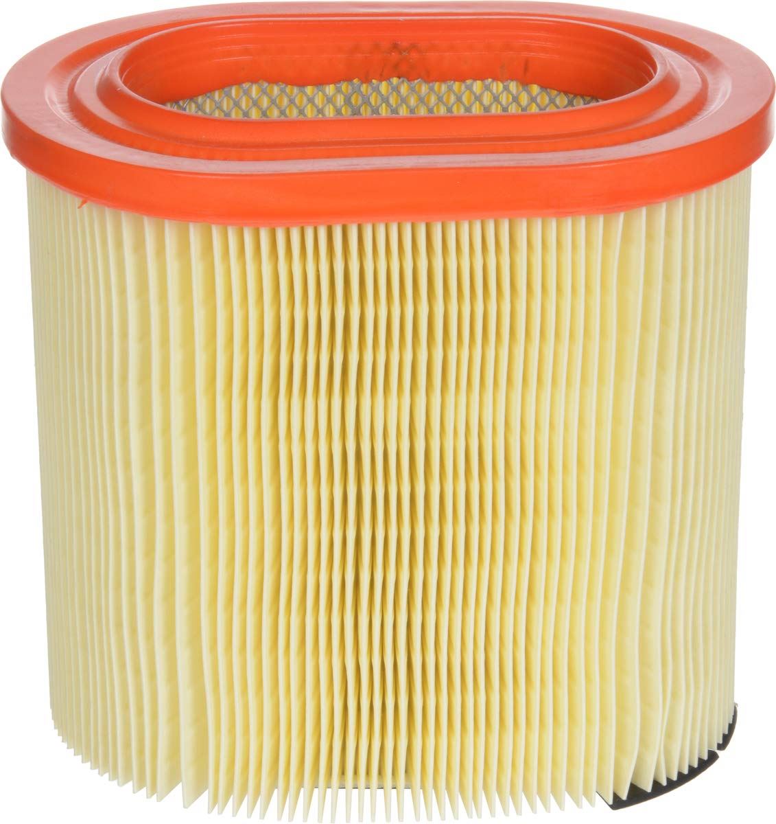 Fram CA12183 Air Filter