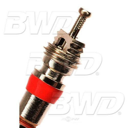 BWD TPM2000K