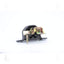 Ancla 9229 Soporte del motor