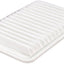 Fram CA10171 Air Filter