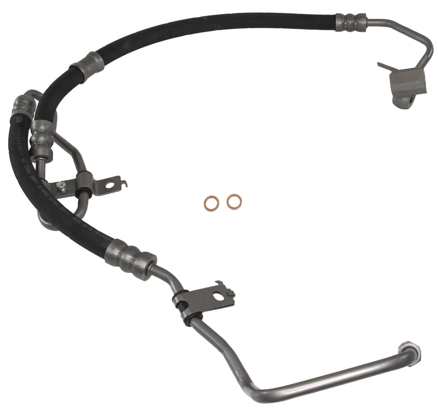 REIN PSH0554