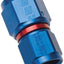 Russell 640570