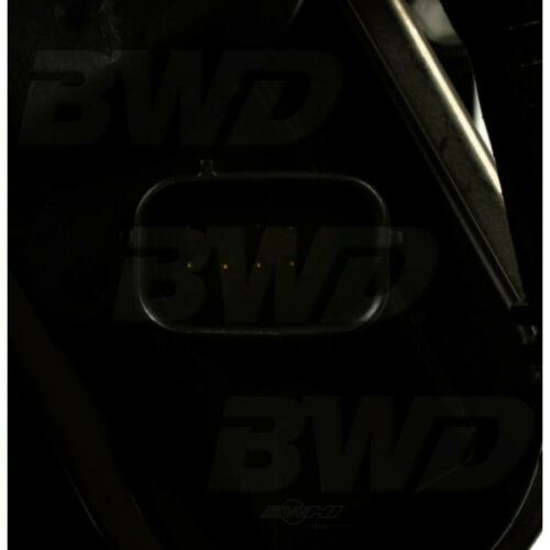 Bote de vapor BWD CP1672