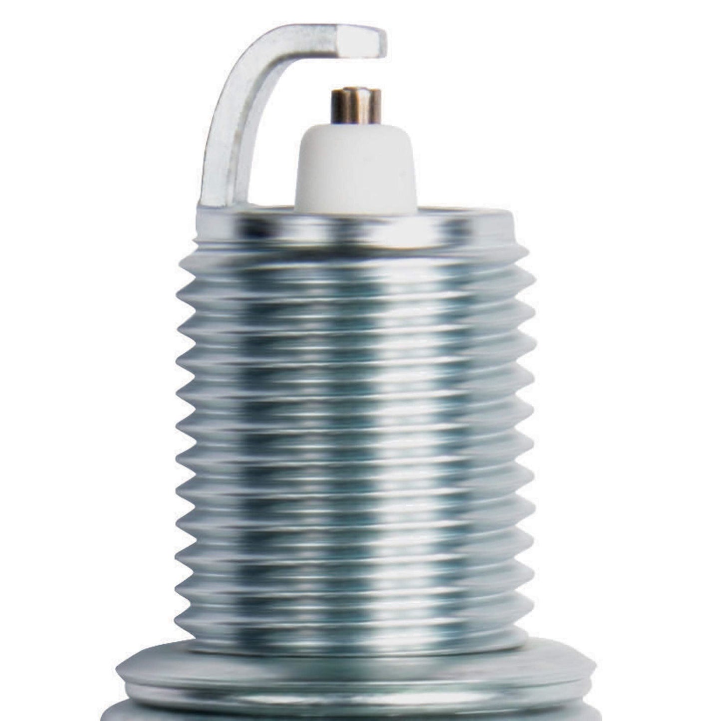 Champion 3318 (Pack of 4)