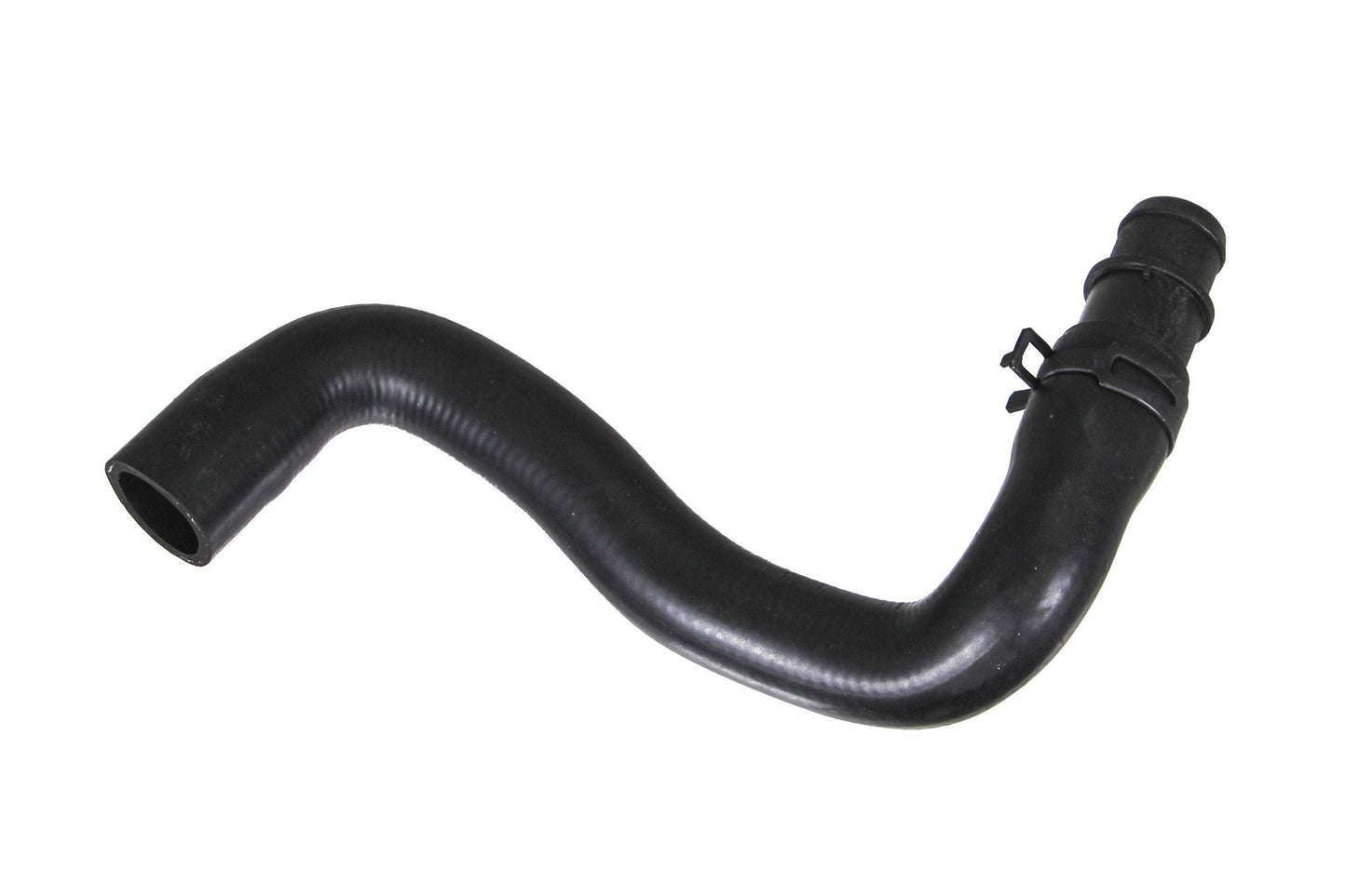 REIN CHR0444