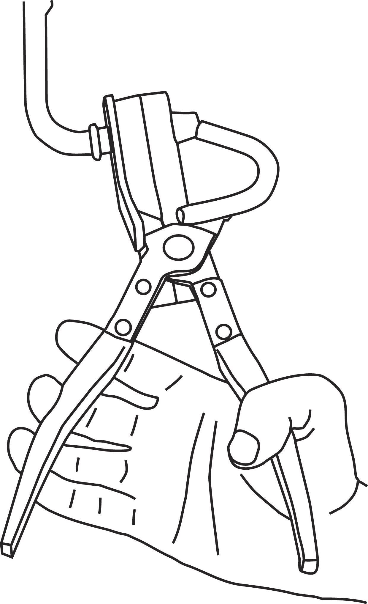 LISLA 38350