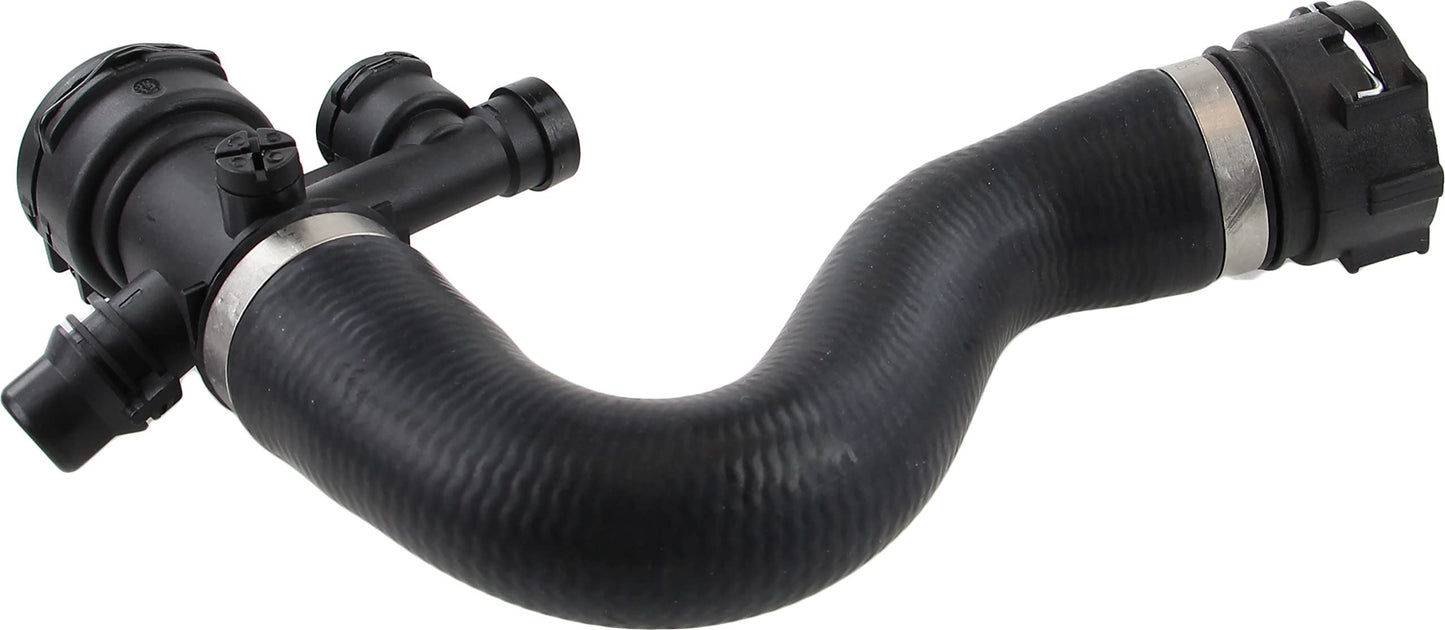 REIN CHR0186