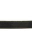 Raybestos BH383389 Brake Hydraulic Hose