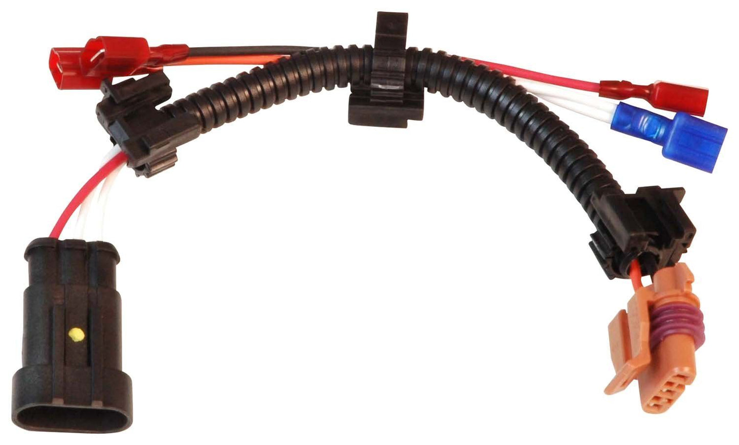 Arnés de cableado del motor MSD Ignition 8877