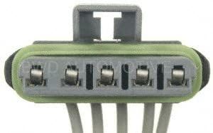 Conector de arnés del panel de instrumentos BWD PT1516