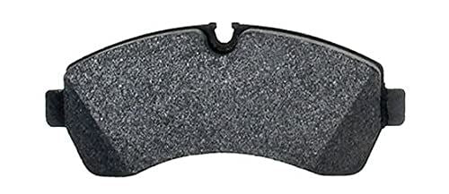 RAYBESTOS SP1039TRH