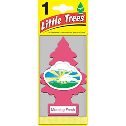 Car-Freshner 10228